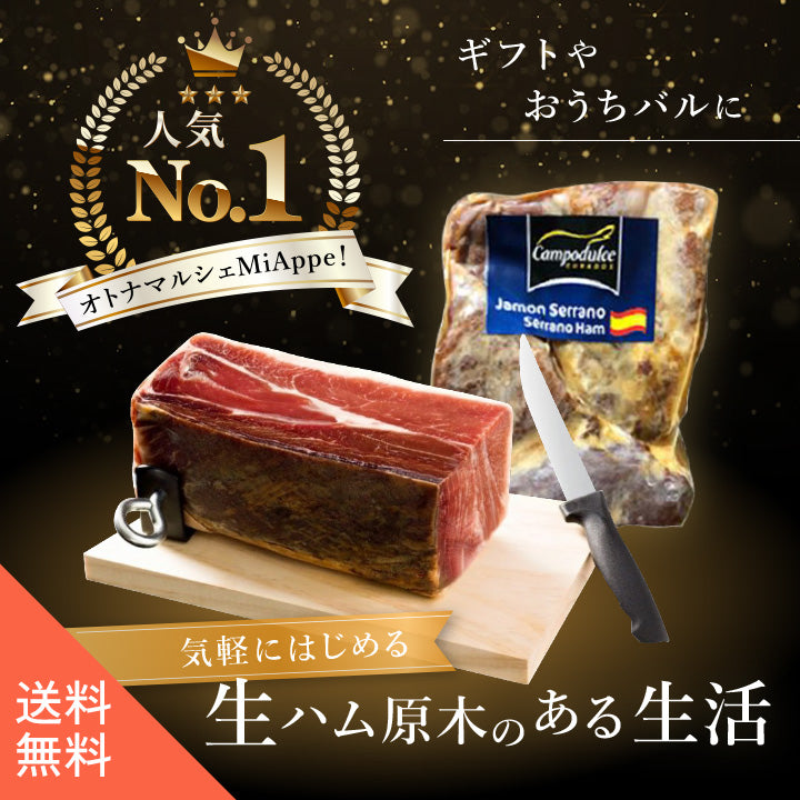 生ハム原木クッション① グルメソムリエ 18ヶ月熟成ハモンセラーノ 生ハムミニ原木（ミニ