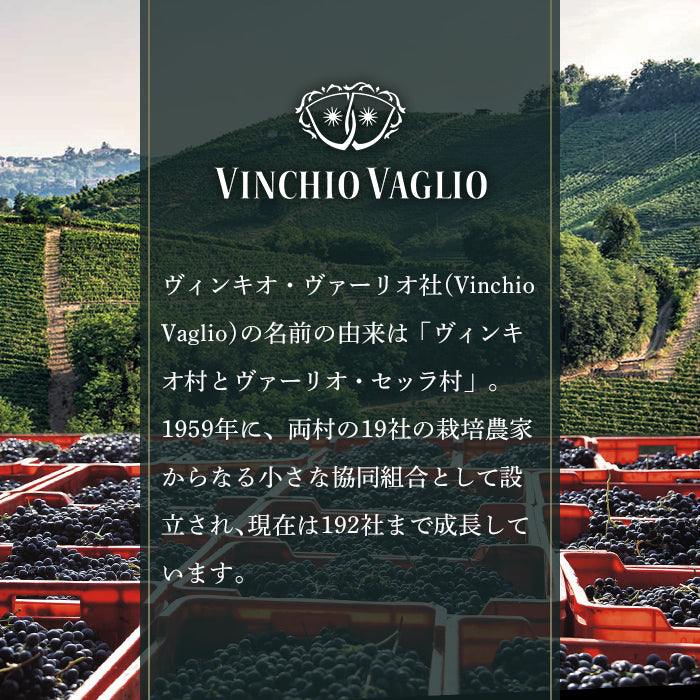 Vinchio Vaglio BIBワイン 選べる2箱セット【新パッケージ】