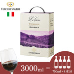 レ ターネ　3L　バルベーラ100%　D.O.C.PIEMONTE BARBERA　赤ワイン