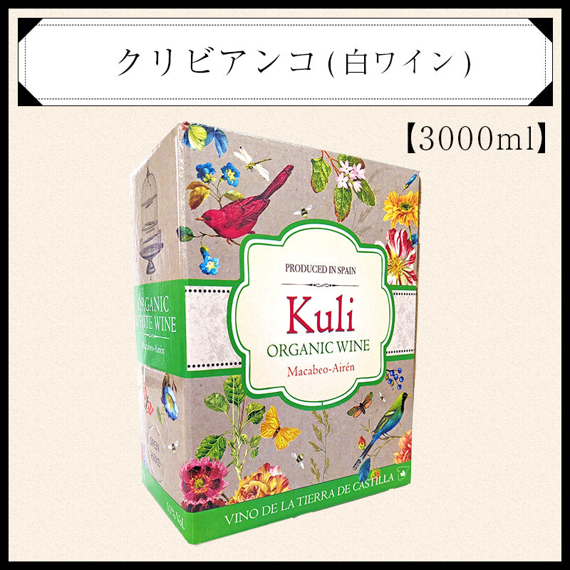 赤白ワインと生ハムサラミにオリーブ！パーティ9点セット(約10人分)【送料無料/冷蔵】