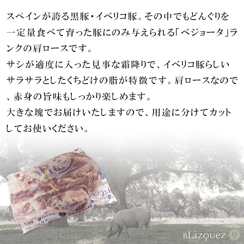 ブラスケス社 イベリコ豚 ベジョータ 肩ロース 約2kg【冷凍】